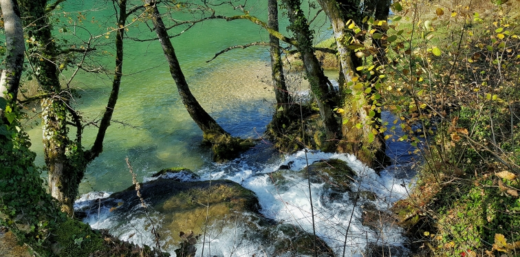 Mrežnica