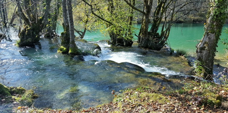 Mrežnica